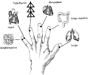 hand 12 primary channels