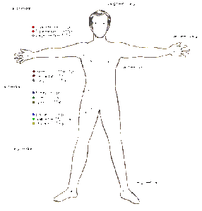 lines of energy ying yang